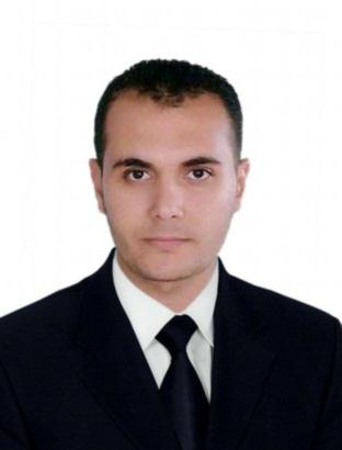 Mohamed Abdel-Baset Abdel-Mohsen